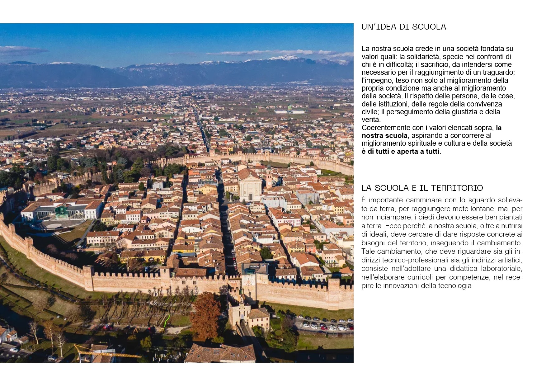 1. il dirigente a